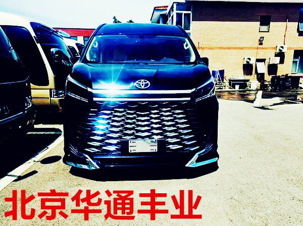 丰田海狮车型大全丰田诲狮卫生间版(图1)