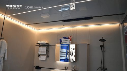 装线届中国建博会友邦吊顶闪耀登场！(图6)