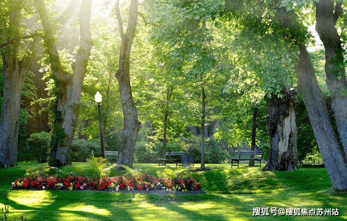 Kaiyun（中国体育）：尚湾林语(尚湾林语)上海售楼处_房价_房型图_户型图_交通地铁_地址(图12)