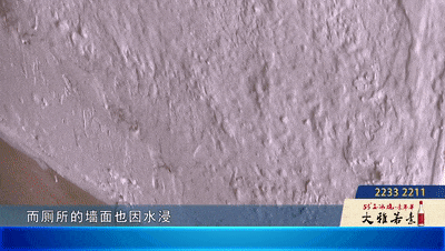 佛山一街坊与霉菌“同住”十年！疑邻居墙面渗水导致对方回应：着实有心无力(图3)