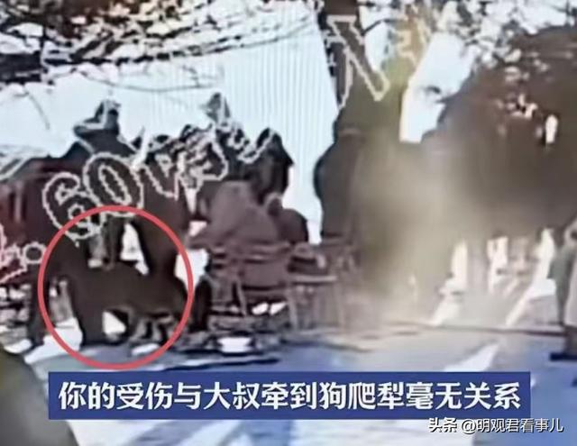 大爷垫医药费被讹出现反转！当事人已找到重庆文旅：与网传不符(图3)