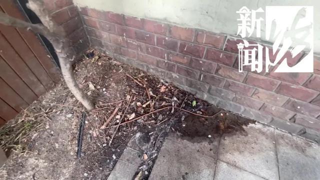 漂亮街边花园每天却来上百余次的……居民受不了(图4)