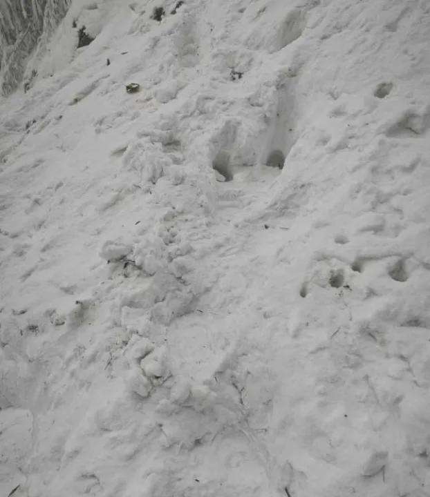 大升温后来寒潮？权威：超大范围雨雪准备或冬季来最强有暴雪(图11)