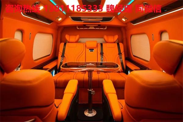 丰田海狮6789座星空顶定制版报价落地价90万(图6)