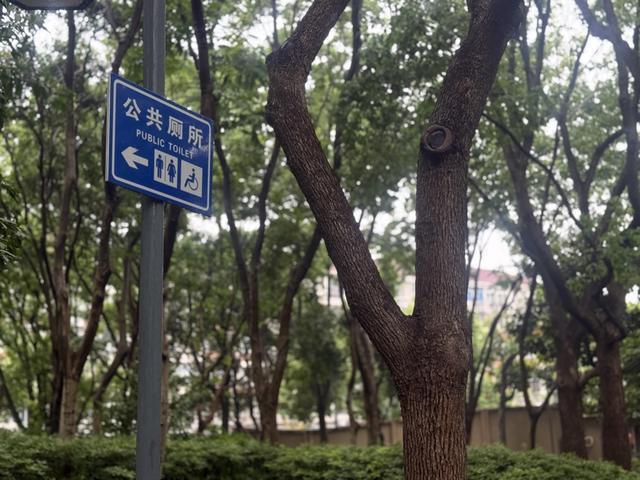 公园24小时开放后的三道题：长椅、厕所、禁令管理(图8)