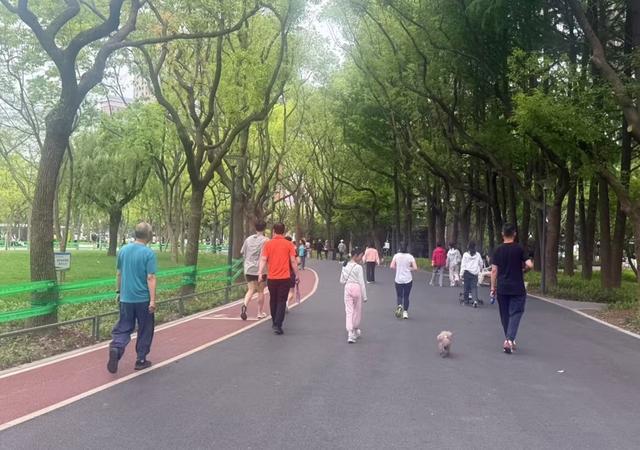 公园24小时开放后的三道题：长椅、厕所、禁令管理(图11)
