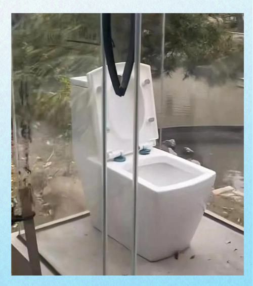 荷兰全透明厕所成网红打卡点三谋玩家：我们连厕所都有战术价值(图1)