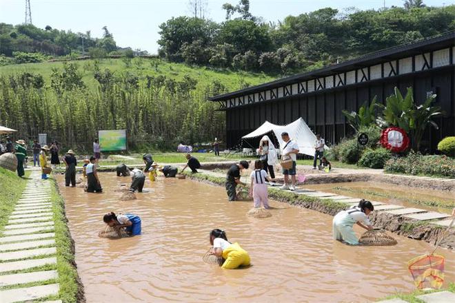 Kaiyun体育网站：宜宾翠屏：“五一”假期接待游客146．58万人次(图3)
