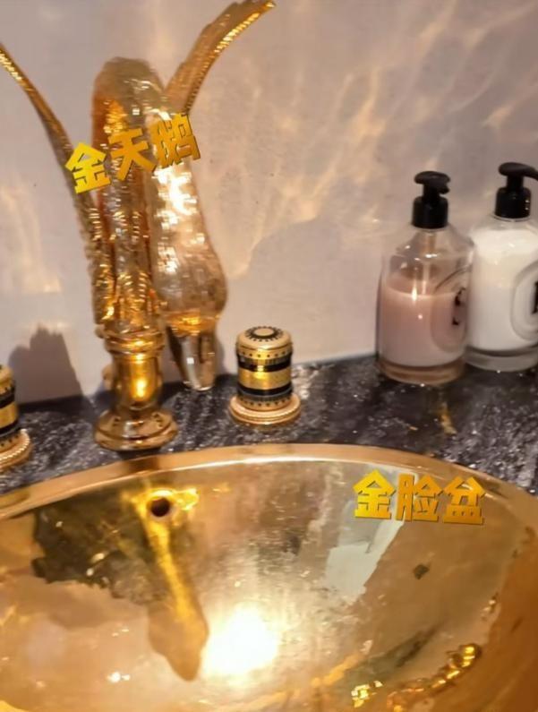 特步大公主豪宅首曝光！床大到随意翻滚黄金马桶、洗手池真豪横(图6)