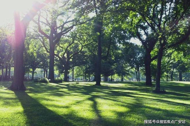 大华·公园柏翠(售楼处网站)大华·公园柏翠售楼处(图17)