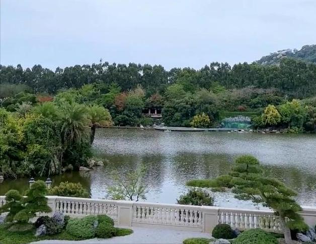 Kaiyun体育网站：特步大公主豪宅曝光！黄金马桶造价数十万洗手池也是黄金打造！(图11)