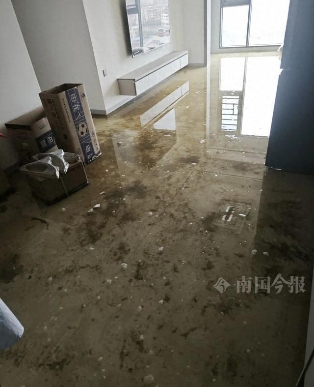 Kaiyun(中国体育):婚房被粪水浸泡!业主崩溃:全屋都是无法接受(图1)