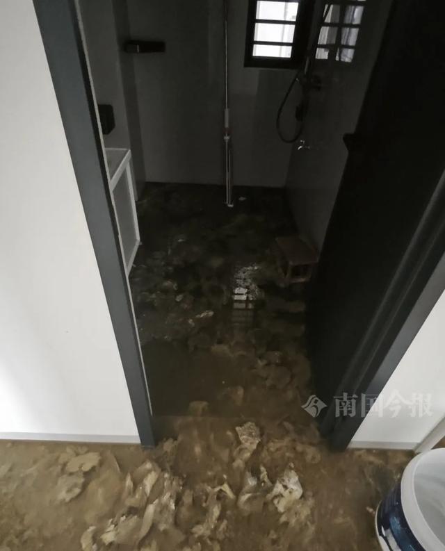 Kaiyun(中国体育):婚房被粪水浸泡!业主崩溃:全屋都是无法接受(图2)
