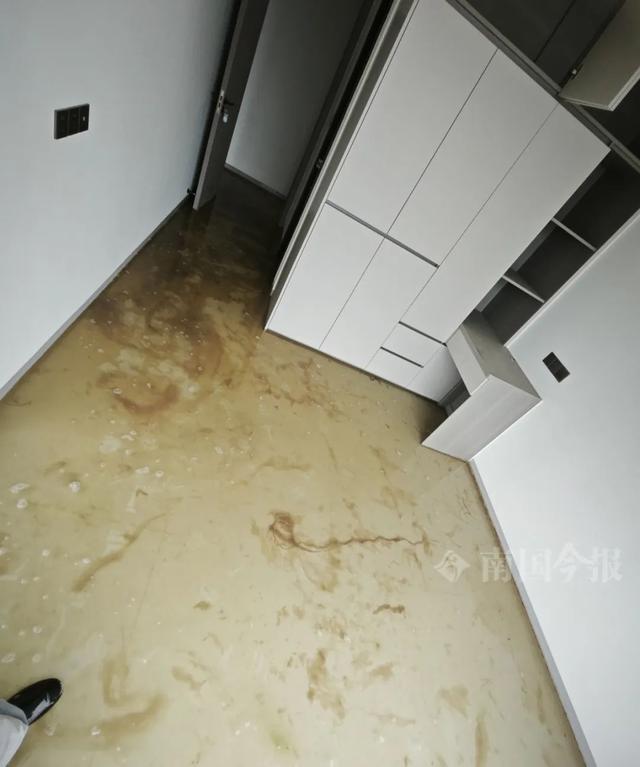 Kaiyun(中国体育):婚房被粪水浸泡!业主崩溃:全屋都是无法接受(图5)