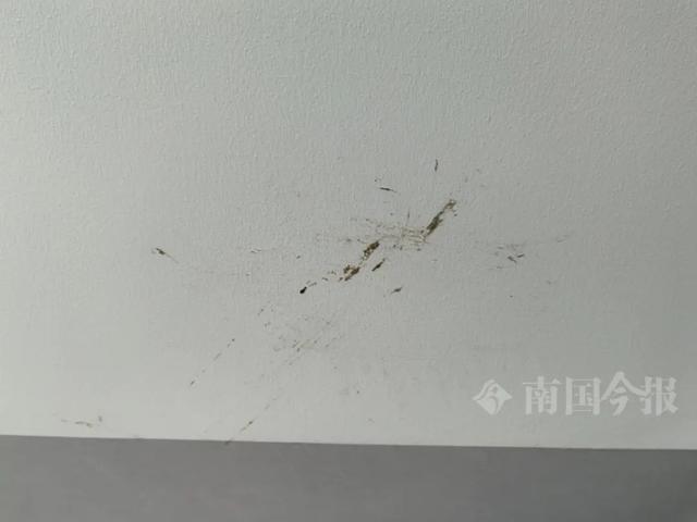 Kaiyun(中国体育):婚房被粪水浸泡!业主崩溃:全屋都是无法接受(图8)