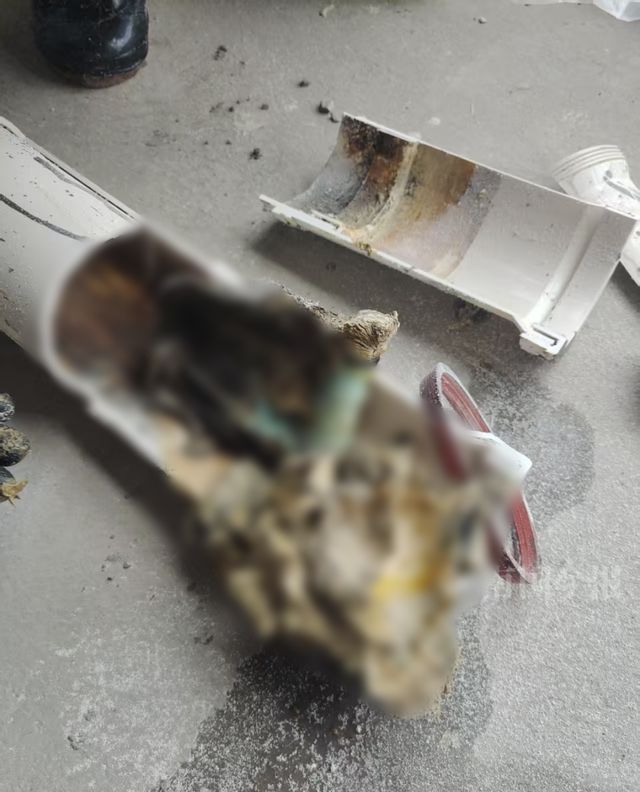 Kaiyun(中国体育):婚房被粪水浸泡!业主崩溃:全屋都是无法接受(图10)