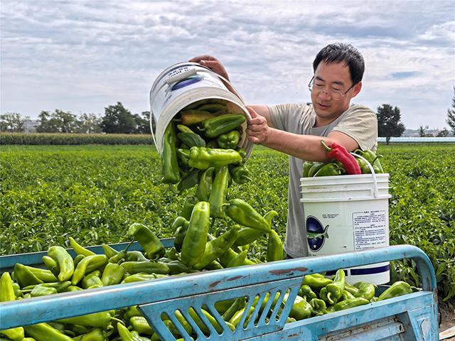 土贵乌拉镇南营村：四维发力兴乡村文明(图2)