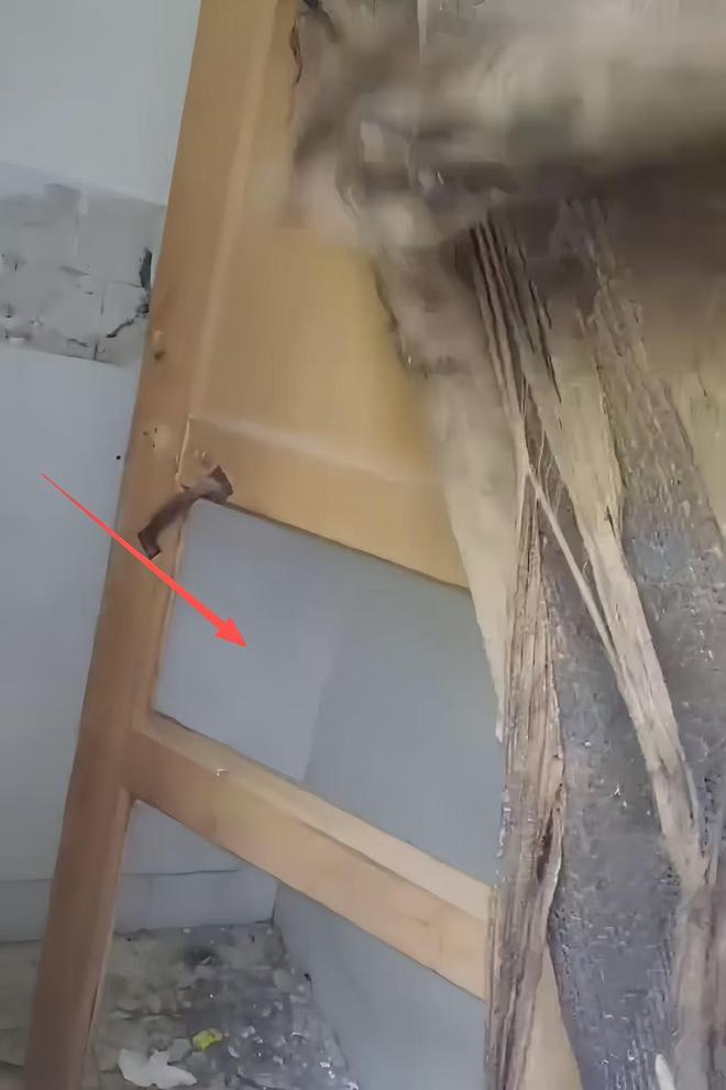 Kaiyun体育网站:家长送娃上学后吐槽:宿舍像荒野求生潮得能长蘑菇教育局回应(图5)