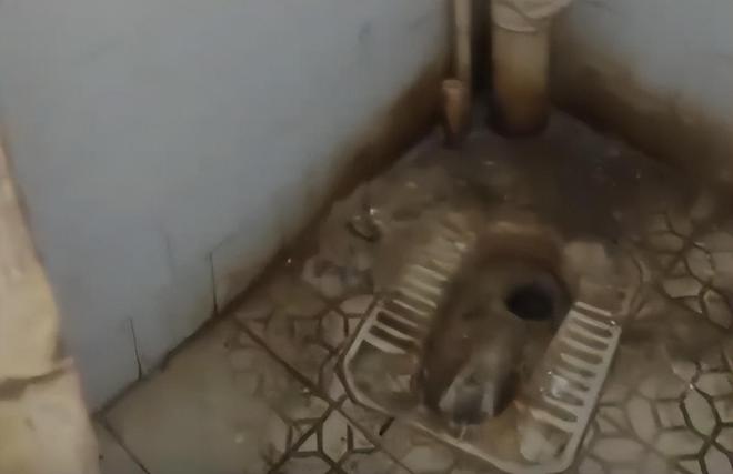 Kaiyun体育网站:家长送娃上学后吐槽:宿舍像荒野求生潮得能长蘑菇教育局回应(图4)