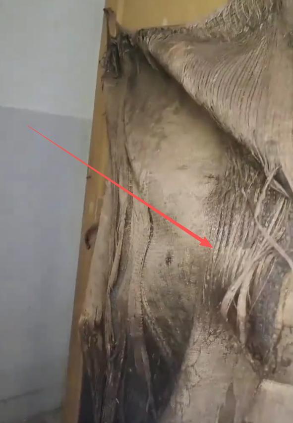 Kaiyun体育网站:家长送娃上学后吐槽:宿舍像荒野求生潮得能长蘑菇教育局回应(图6)