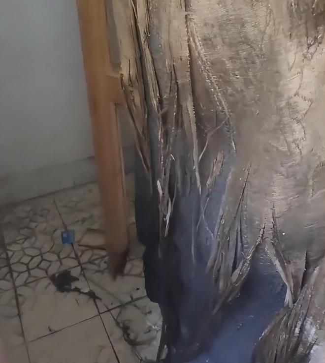 Kaiyun体育网站:家长送娃上学后吐槽:宿舍像荒野求生潮得能长蘑菇教育局回应(图7)