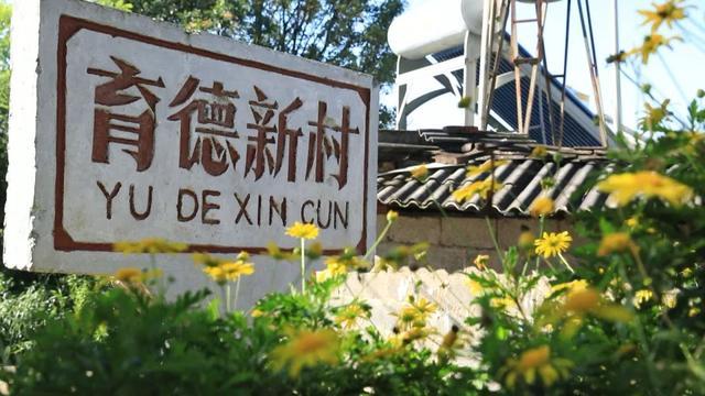 【提升人居环境】人居环境焕新颜康养旅居促增收(图4)