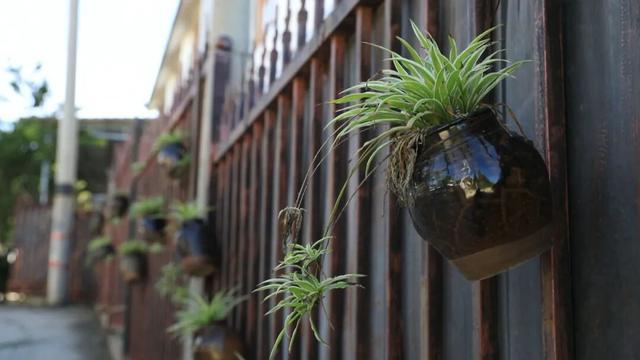 【提升人居环境】人居环境焕新颜康养旅居促增收(图2)