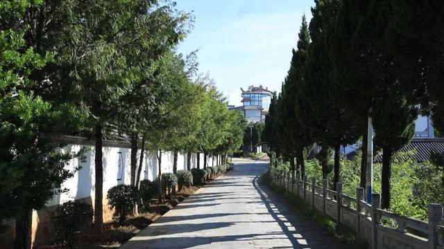 【提升人居环境】人居环境焕新颜康养旅居促增收(图14)