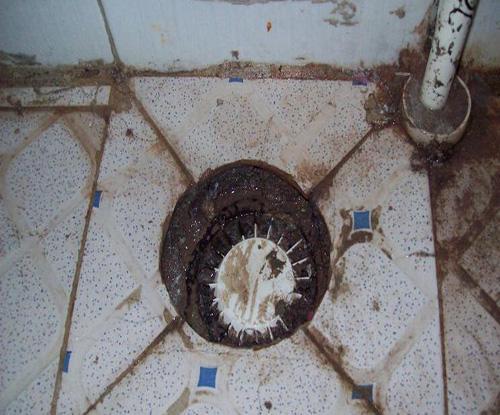 卫生间异味难忍？一招搞定！简单又有效亲测好用！(图4)