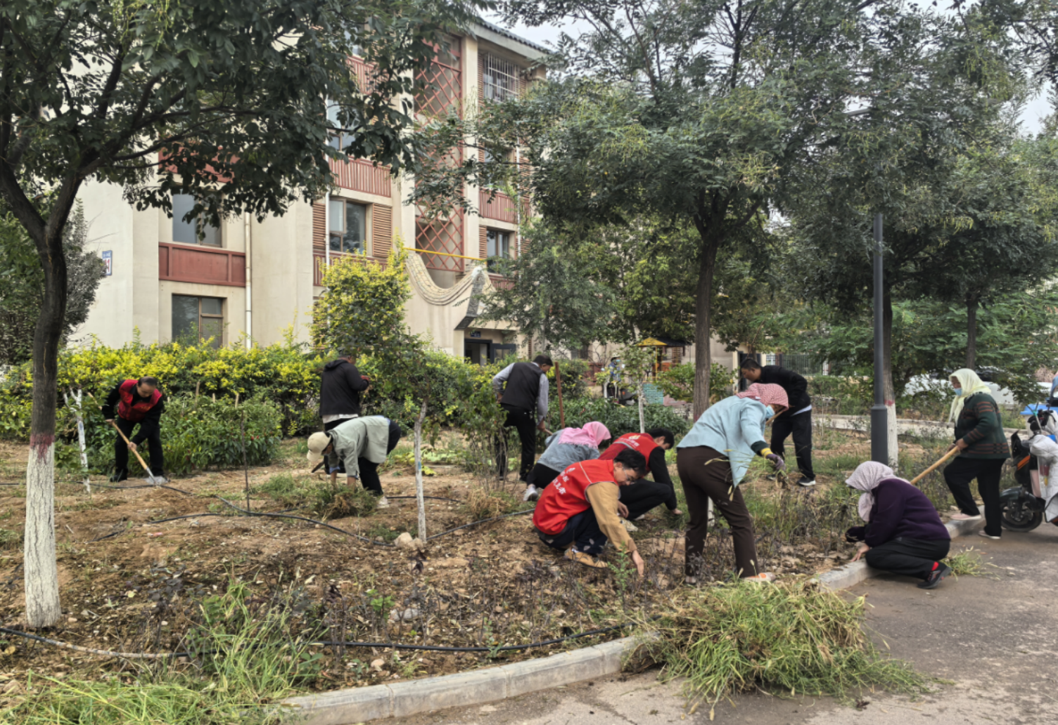 村村换新颜幸福再加码闽宁镇开展人居环境整治行动(图1)