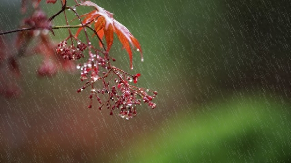 今天八月初一来年旱不旱就看八月初一?(图1)