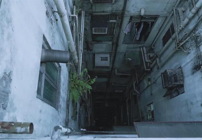 Kaiyun体育网站:香港的怪兽大厦他在10㎡劏房住2年网友:我家卫生间都比这大(图2)