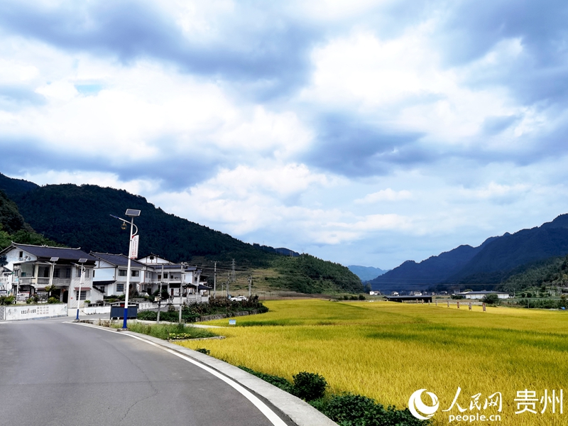 Kaiyun体育网站:村美人和宜居宜业(图1)