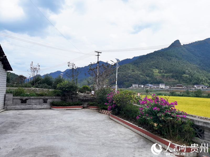 Kaiyun体育网站:村美人和宜居宜业(图2)