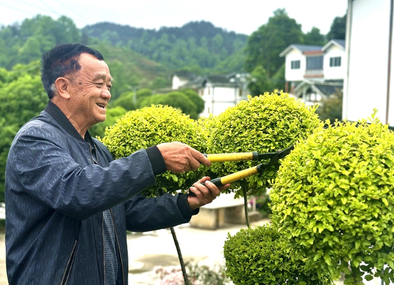 Kaiyun体育网站:村美人和宜居宜业(图4)