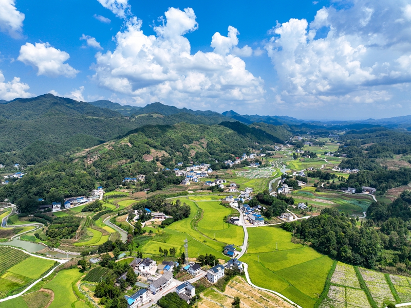 Kaiyun体育网站:村美人和宜居宜业(图5)