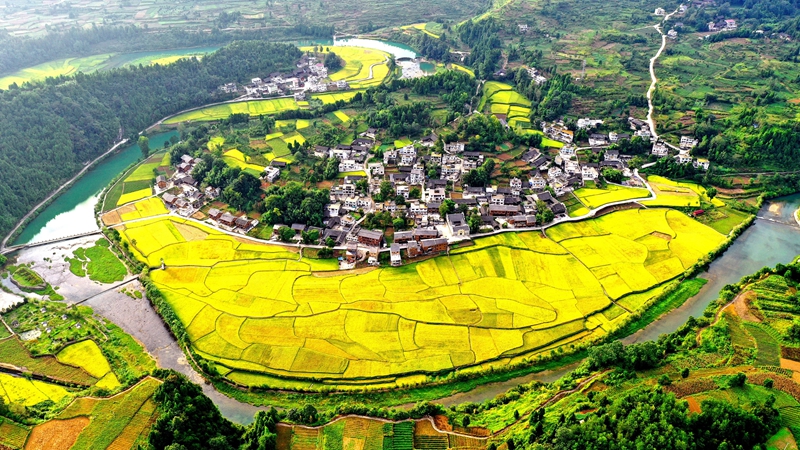 Kaiyun体育网站:村美人和宜居宜业(图6)