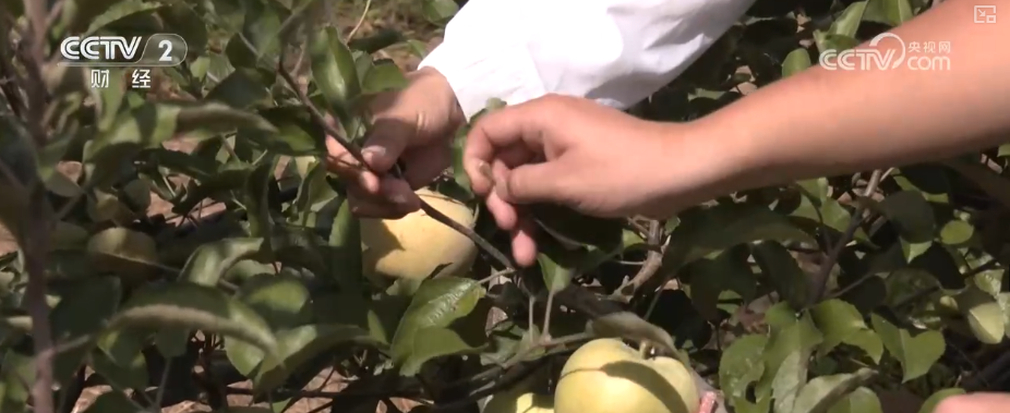 既是田间喜讯更是民生福祉提升多视角看农民生活变迁感受乡村振兴新图景(图11)