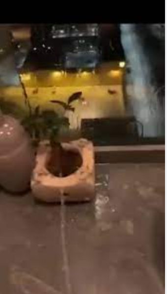 全网震怒！网红在伦敦地铁座位撒尿“挑战”不知情乘客直接坐上去网友：包浆座椅比想象中更恶心(图3)