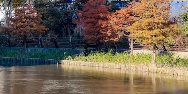 浦发上品(2025年浦发上品)网站-户型配套-上海房天下(图6)