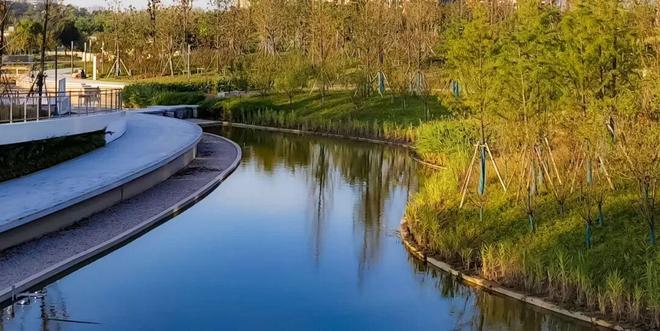 浦发上品(2025年浦发上品)网站-户型配套-上海房天下(图7)