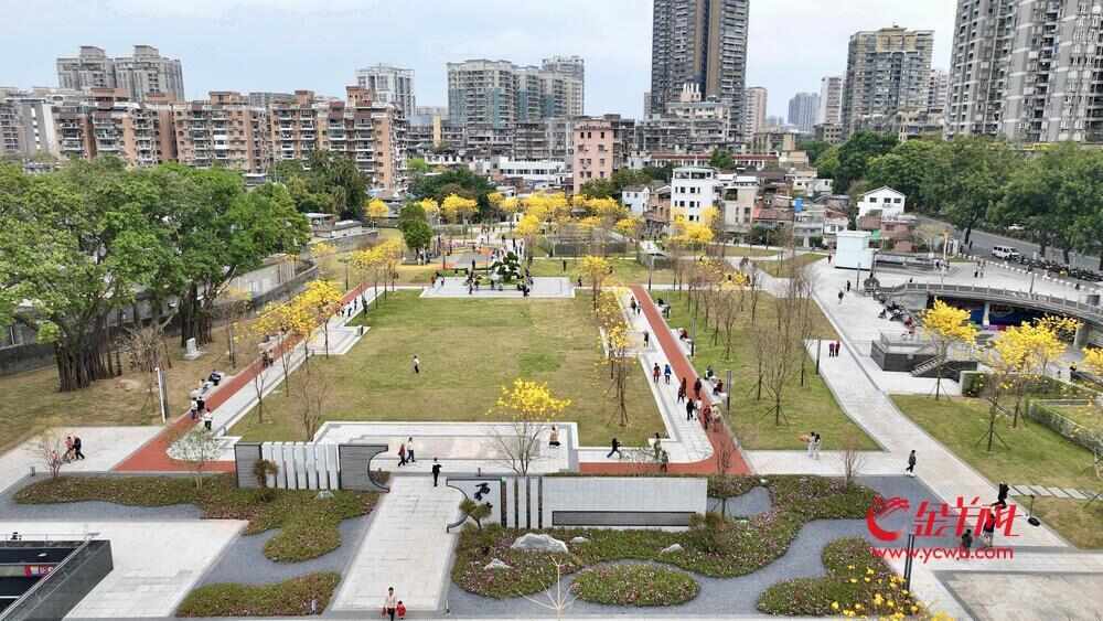 Kaiyun(中国体育):靓!广州陈家祠片区大变样!记者带你实地探“新景”|记者走访(图3)