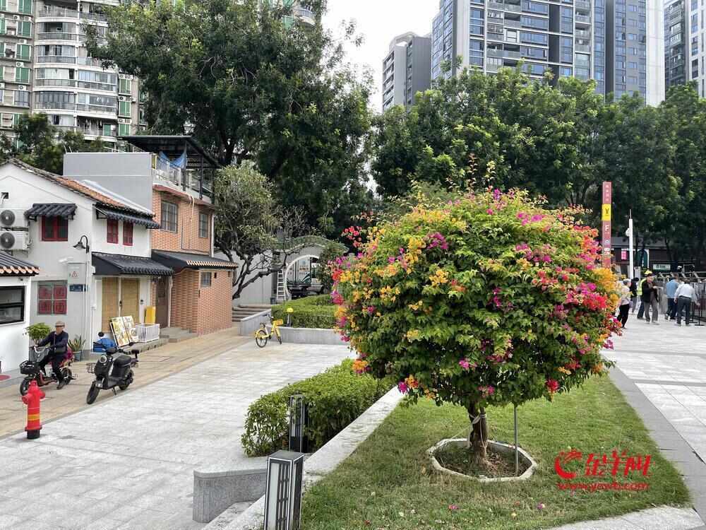 Kaiyun(中国体育):靓!广州陈家祠片区大变样!记者带你实地探“新景”|记者走访(图6)