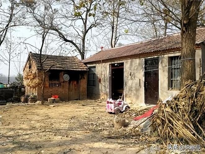 农民的好日子来了！5年规划解决3大难题挣钱不用离家乡就能翻身(图4)