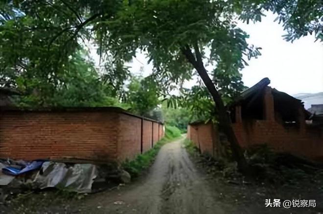 农民的好日子来了！5年规划解决3大难题挣钱不用离家乡就能翻身(图5)