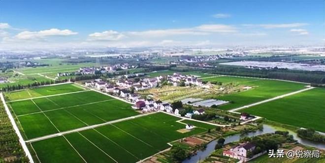 农民的好日子来了！5年规划解决3大难题挣钱不用离家乡就能翻身(图6)