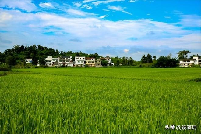 农民的好日子来了！5年规划解决3大难题挣钱不用离家乡就能翻身(图15)