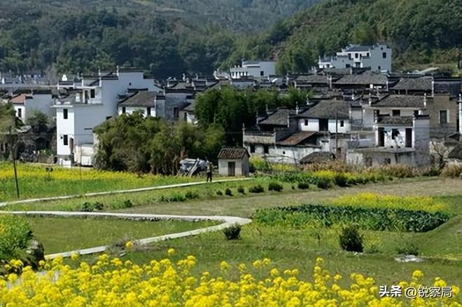 农民的好日子来了！5年规划解决3大难题挣钱不用离家乡就能翻身(图16)