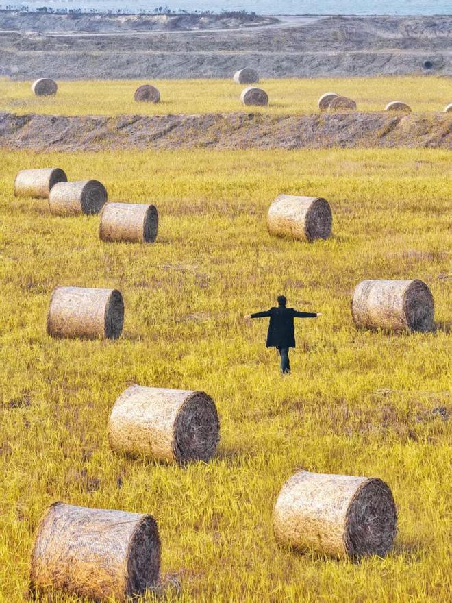 Kaiyun体育网站：无人机扰鸟引关注东营出台“禁飞令”守护候鸟安全(图2)