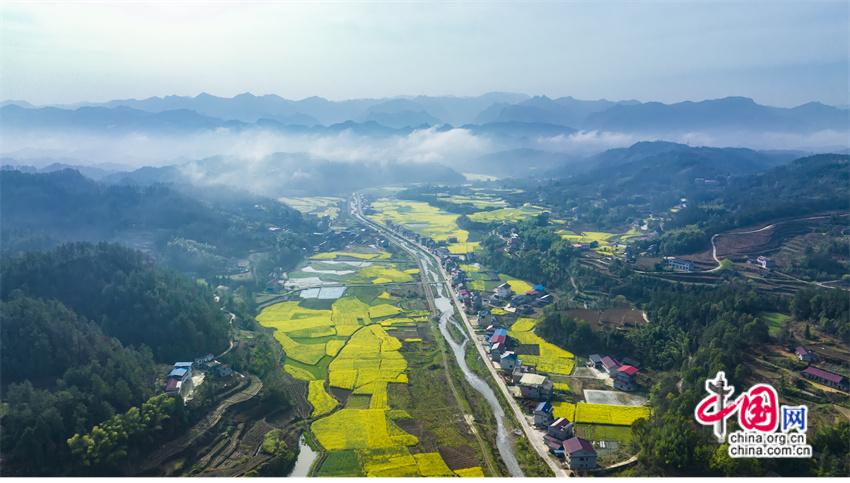 Kaiyun（中国体育）：湖南慈利：深耕沃野结硕果乡村振兴踏浪行(图1)